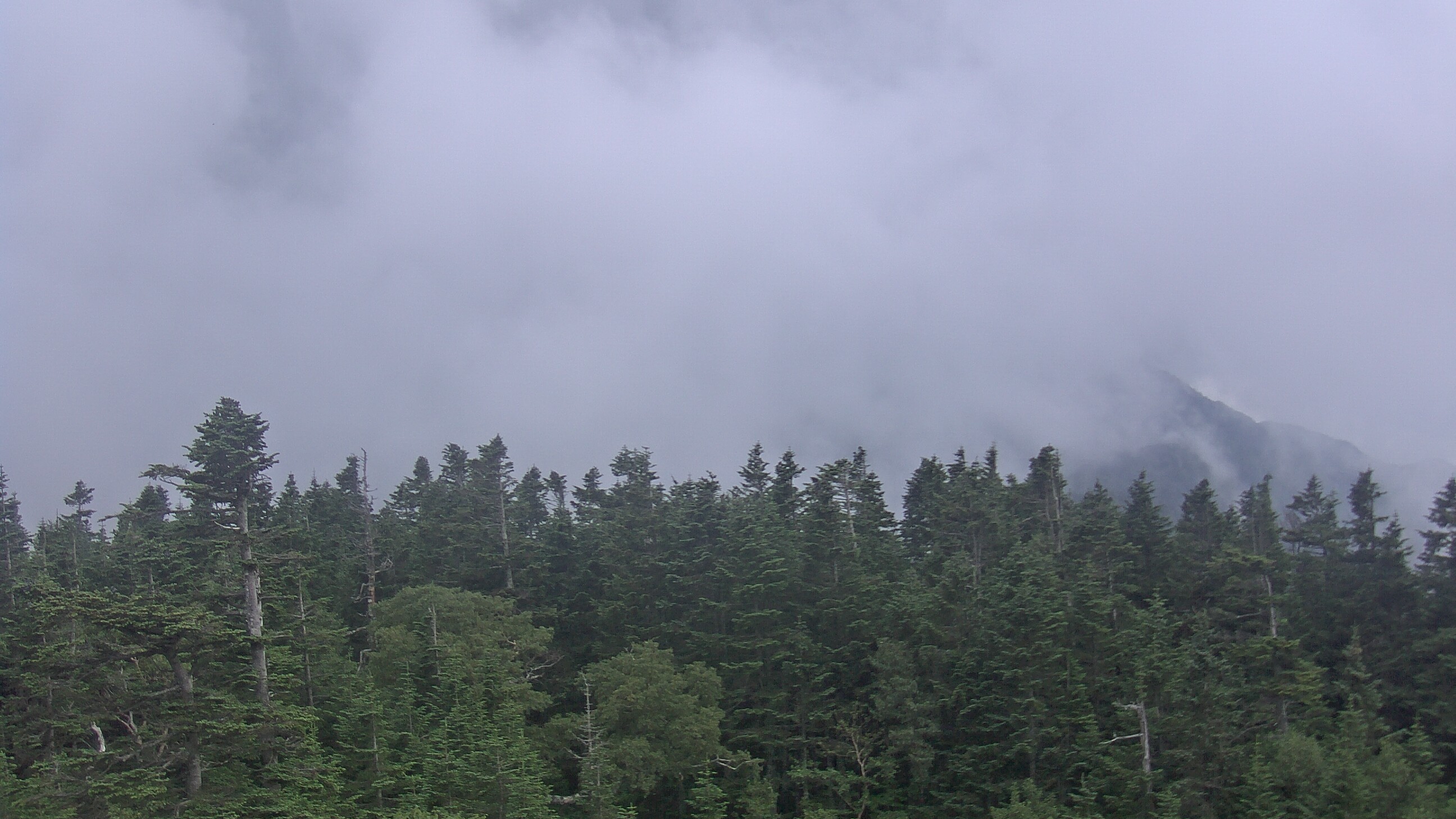 西穂山荘ライブカメラ 2026-08-20 15:59時点の西穂高岳の天気・視界・積雪状況