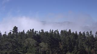 西穂山荘