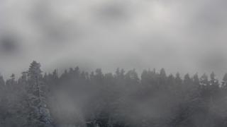 西穂山荘